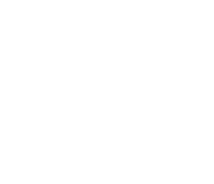 Certified-Management-System-E