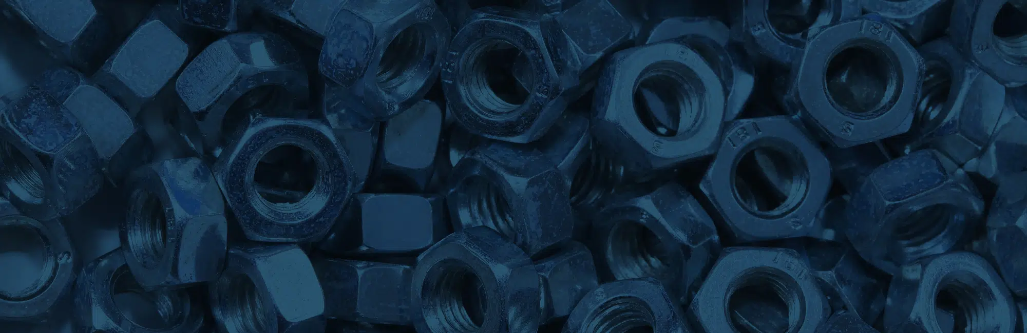 test-nuts-header
