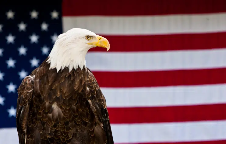 Made in America