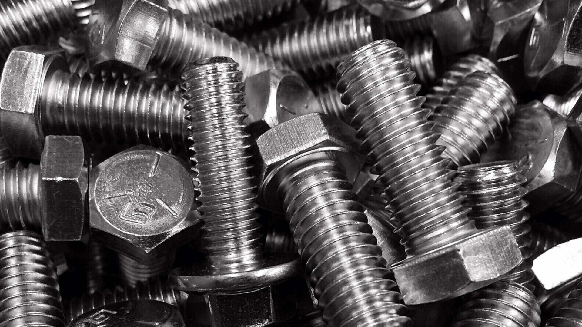 wilson-garner-screws
